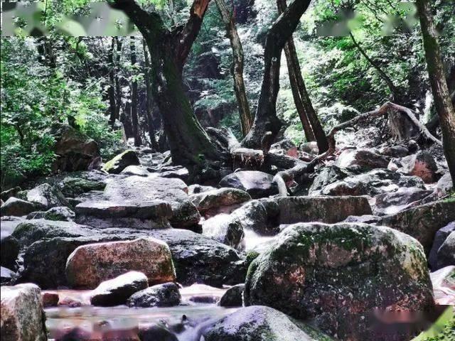成长家园