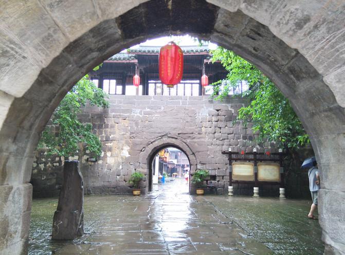 这花叫什么名字?游戏画面